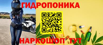 хмурый Можга
